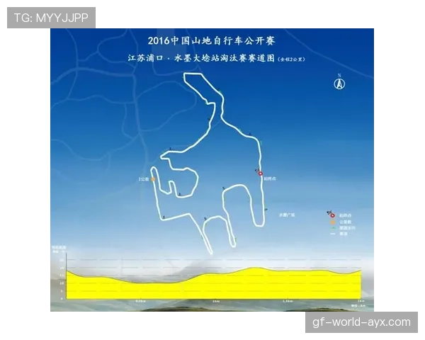 国际自行车赛赛道应急改造标准化试行,赛道自行车比赛规则 国际自行车赛赛道应急改造标准化试行,赛道自行车比赛规则
