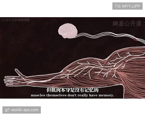 顶级选手的反应训练：他是如何通过练习提升神经的